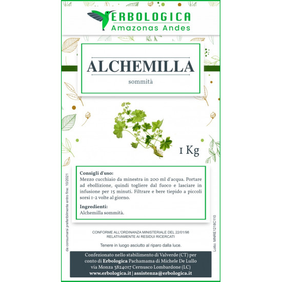 Alchemilla pianta taglio tisana 500 grammi Alchemilla pianta taglio tisana 500 grammi