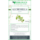 Alchemilla pianta taglio tisana 500 grammi Alchemilla pianta taglio tisana 500 grammi
