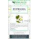Eufrasia Pianta tisana Eufrasia Pianta tisana