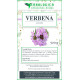 Verbena officinale tisana 500 grammi Verbena officinale tisana 500 grammi