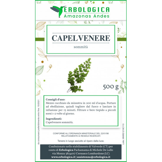 Capelvenere sommità taglio tisana 500 grammi Capelvenere sommità taglio tisana 500 grammi