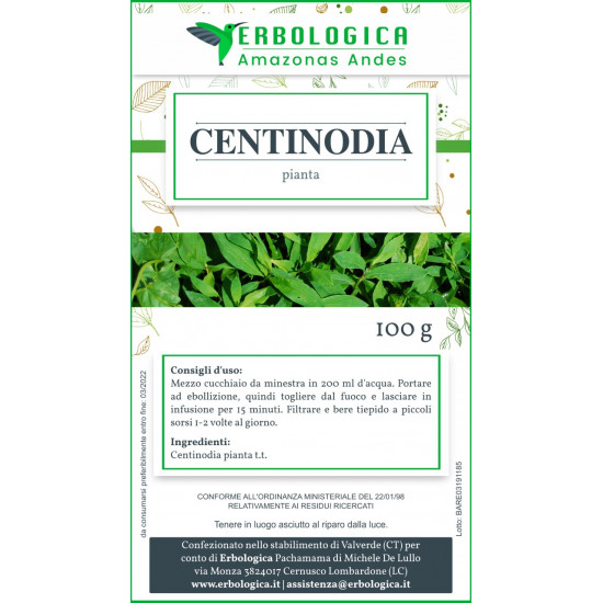 Centinodia pianta tisana 500 grammi Centinodia pianta tisana 500 grammi