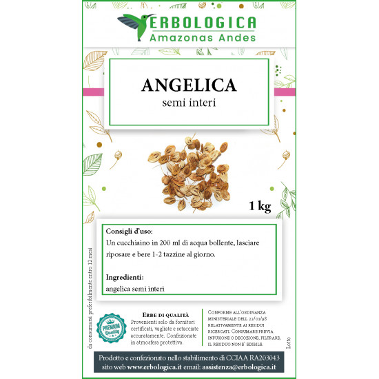 Angelica semi interi tisana 1 kg Angelica semi interi tisana 1 kg