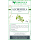 Alchemilla pianta taglio tisana 1 kg Alchemilla pianta taglio tisana 1 kg