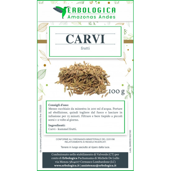 Carvi semi confezione da 100 grammi Carvi semi confezione da 100 grammi