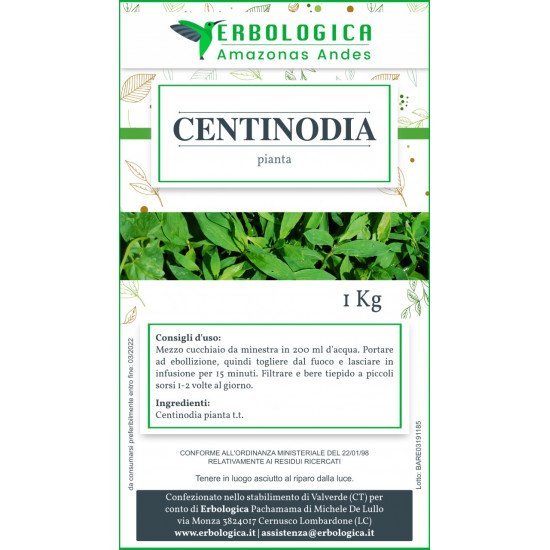 Centinodia pianta tisana 1 kg Centinodia pianta tisana 1 kg