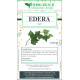 Edera foglie tisana 100 grammi Edera foglie tisana 100 grammi