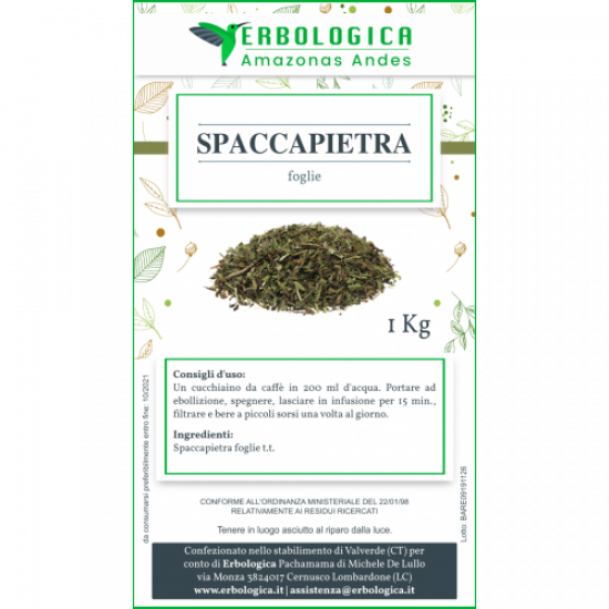 Spaccapietra pianta tisana 1 kg Spaccapietra pianta tisana 1 kg