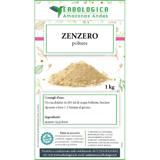 Zenzero in polvere 1 kg Zenzero in polvere 1 kg