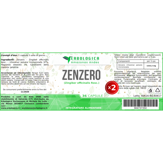 Zenzero in capsule ( 2 confezioni da 36 capsule) Zenzero in capsule ( 2 confezioni da 36 capsule)