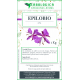 Epilobio parviflora tisana 100 grammi Epilobio parviflora tisana 100 grammi