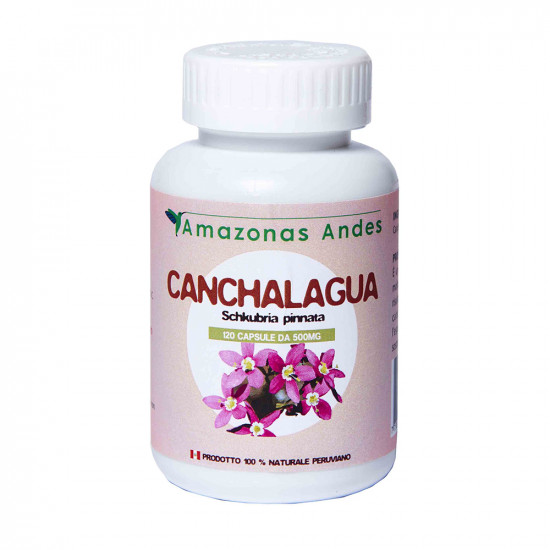 Canchalagua in capsule