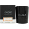 Lalique Candela 190g - Safran Mashhad