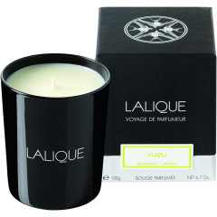Lalique Candela 190g - Yuzu Shikokou