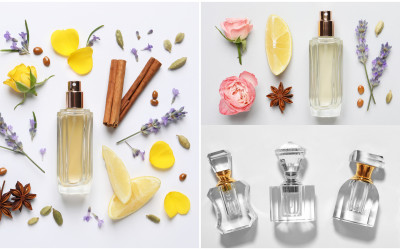 Piramide Olfattiva: Scegli il profumo giusto