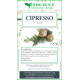 Cipresso bacche tisana 500 grammi Cipresso bacche tisana 500 grammi