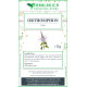 Orthosiphon foglie 500 grammi taglio tisana Orthosiphon foglie 500 grammi taglio tisana