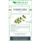 Parietaria pianta taglio tisana 500 grammi Parietaria pianta taglio tisana 500 grammi