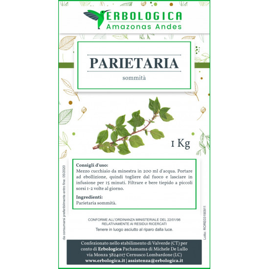 Parietaria pianta taglio tisana 500 grammi Parietaria pianta taglio tisana 500 grammi