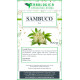 Sambuco fiori taglio tisana 500 grammi Sambuco fiori taglio tisana 500 grammi