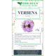 Verbena officinale tisana 500 grammi Verbena officinale tisana 500 grammi