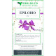 Epilobio parviflora tisana 100 grammi Epilobio parviflora tisana 100 grammi
