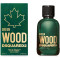 DSquared² Green Wood Eau de Toilette 100ml Spray
