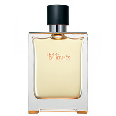 Hermès Terre D'Hermes Eau De Toilette 100ml Spray