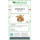 Angelica semi interi tisana 1 kg Angelica semi interi tisana 1 kg