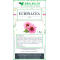 Echinacea radice tisana 1 kg