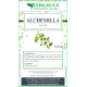 Alchemilla pianta tisana 100 grammi Alchemilla pianta tisana 100 grammi