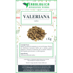 Valeriana tisana 1 kg 