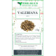 Valeriana tisana 1 kg Valeriana tisana 1 kg