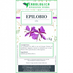 Epilobio parviflora tisana 1 kg