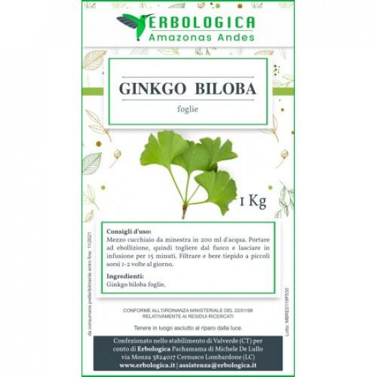 Ginkgo Biloba foglie tisana 1 kg