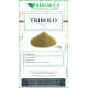 Tribulus terrestris in polvere 1 kg Tribulus terrestris in polvere 1 kg
