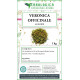 Veronica officinale tisana 1 kg Veronica officinale tisana 1 kg